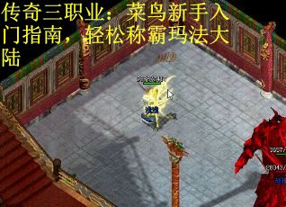传奇三职业：菜鸟新手入门指南，轻松称霸玛法大陆