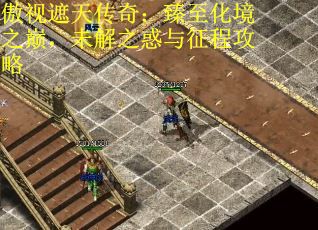 傲视遮天传奇：臻至化境之巅，未解之惑与征程攻略