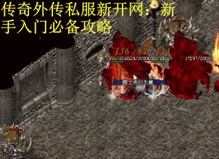 传奇外传私服新开网：新手入门必备攻略
