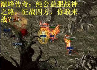巅峰传奇：纯公益服战神之路，征战四方，你敢来战？