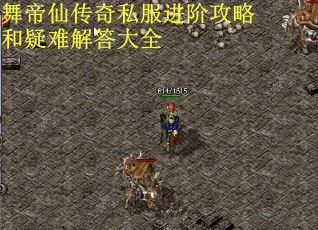 舞帝仙传奇私服进阶攻略和疑难解答大全
