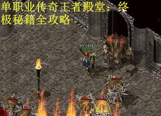 单职业传奇王者殿堂：终极秘籍全攻略