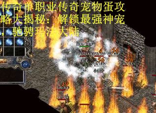 传奇单职业传奇宠物蛋攻略大揭秘：解锁最强神宠，驰骋玛法大陆