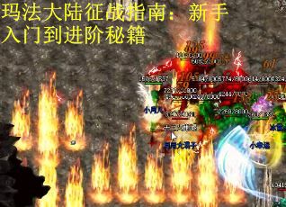 玛法大陆征战指南：新手入门到进阶秘籍