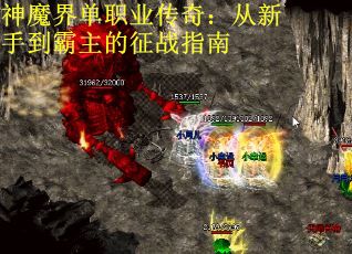 神魔界单职业传奇：从新手到霸主的征战指南