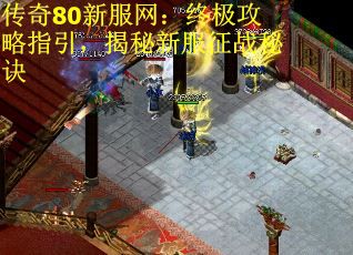 传奇80新服网：终极攻略指引，揭秘新服征战秘诀
