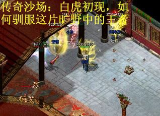 传奇沙场：白虎初现，如何驯服这片旷野中的王者