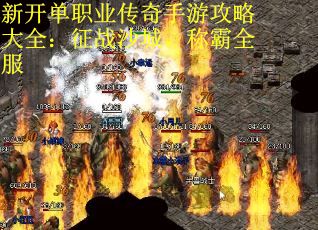 新开单职业传奇手游攻略大全：征战沙城，称霸全服