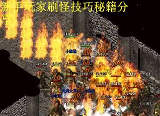 新手玩家刷怪技巧秘籍分享