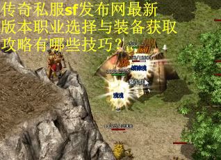 传奇私服sf发布网最新版本职业选择与装备获取攻略有哪些技巧？