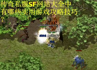 传奇私服SF网站大全中有哪些实用游戏攻略技巧？