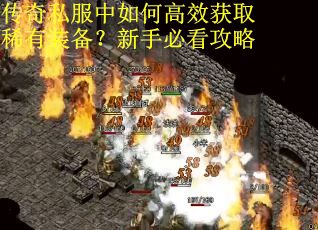 传奇私服中如何高效获取稀有装备？新手必看攻略