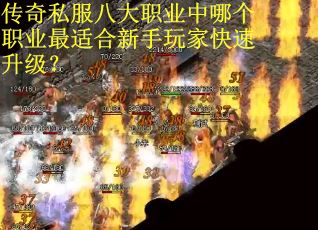 传奇私服八大职业中哪个职业最适合新手玩家快速升级？