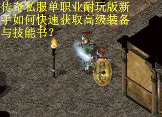 传奇私服单职业耐玩版新手如何快速获取高级装备与技能书？