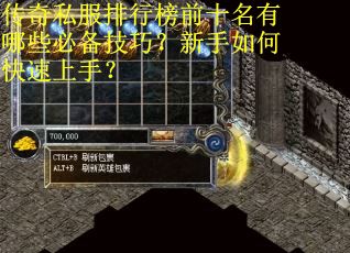 传奇私服排行榜前十名有哪些必备技巧？新手如何快速上手？