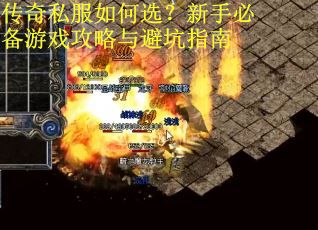 传奇私服如何选?新手必备游戏攻略与避坑指南 传奇私服如何选?新手必备游戏攻略与避坑指南