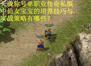 天魂称号单职业传奇私服中仙女宝宝的培养技巧与实战策略有哪些？