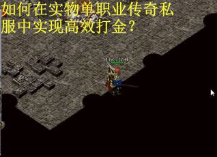 如何在实物单职业传奇私服中实现高效打金？