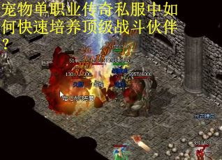 宠物单职业传奇私服中如何快速培养顶级战斗伙伴？