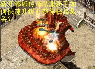 新开嘟嘟传奇私服新手如何快速升级并获得极品装备？
