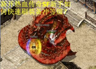 新开热血传奇SF新手如何快速刷装备冲等级？