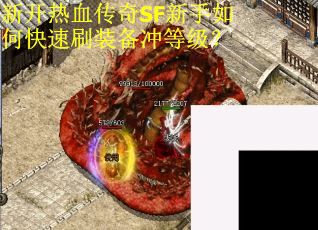 新开热血传奇SF新手如何快速刷装备冲等级？
