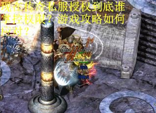 现在传奇私服授权到底谁掌控权限？游戏攻略如何应对？