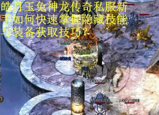 皓月玉兔神龙传奇私服新手如何快速掌握隐藏技能与装备获取技巧？
