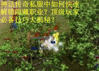 神话传奇私服中如何快速解锁隐藏职业?顶级玩家必备技巧大揭秘? 神话传奇私服中如何快速解锁隐藏职业?顶级玩家必备技巧大揭秘?