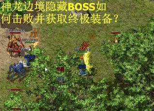 神龙边境隐藏BOSS如何击败并获取终极装备? 神龙边境隐藏BOSS如何击败并获取终极装备?