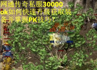 网通传奇私服30000ok如何快速升级获取装备并掌握PK技巧? 网通传奇私服30000ok如何快速升级获取装备并掌握PK技巧?
