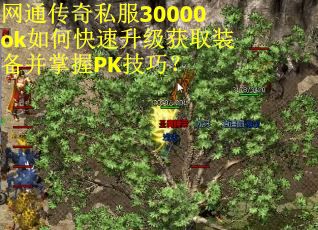网通传奇私服30000ok如何快速升级获取装备并掌握PK技巧? 网通传奇私服30000ok如何快速升级获取装备并掌握PK技巧?