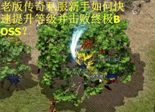 老版传奇私服新手如何快速提升等级并击败终极BOSS? 老版传奇私服新手如何快速提升等级并击败终极BOSS?
