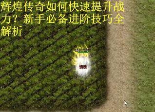 辉煌传奇如何快速提升战力？新手必备进阶技巧全解析