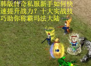 韩版传奇私服新手如何快速提升战力？十大实战技巧助你称霸玛法大陆