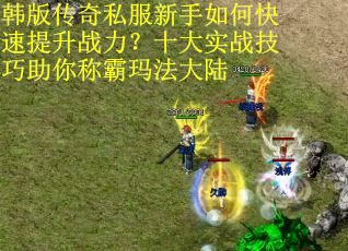 韩版传奇私服新手如何快速提升战力？十大实战技巧助你称霸玛法大陆