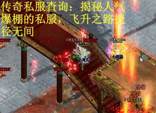 传奇私服查询：揭秘人气爆棚的私服，飞升之路捷径无间