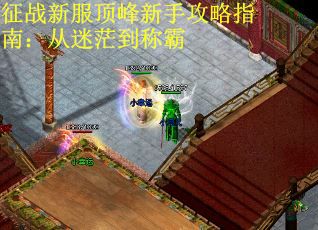 征战新服顶峰新手攻略指南：从迷茫到称霸