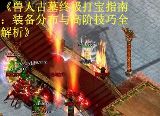 《兽人古墓终极打宝指南：装备分布与高阶技巧全解析》