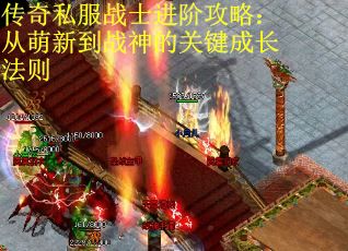 传奇私服战士进阶攻略：从萌新到战神的关键成长法则