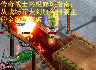 传奇战士终极修炼指南：从战场莽夫到服务器霸主的全维度突破