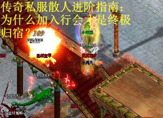 传奇私服散人进阶指南：为什么加入行会才是终极归宿？