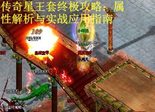 传奇星王套终极攻略：属性解析与实战应用指南