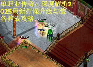 单职业传奇：深度解析2025最新打怪升级与装备养成攻略