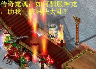 传奇龙魂：如何驯服神龙，助我一统玛法大陆？