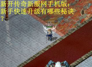 新开传奇新服网手机版：新手快速升级有哪些秘诀？