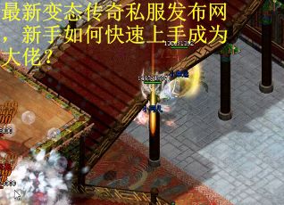 最新变态传奇私服发布网，新手如何快速上手成为大佬？
