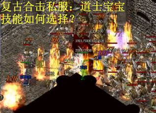 复古合击私服：道士宝宝技能如何选择？