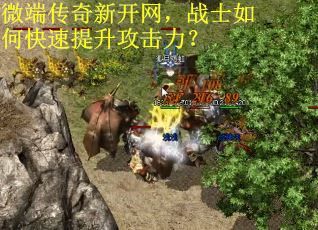 微端传奇新开网，战士如何快速提升攻击力？