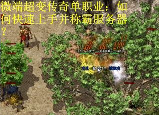 微端超变传奇单职业：如何快速上手并称霸服务器？